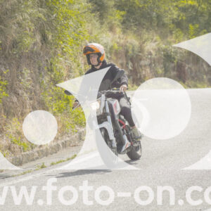 thumb_FF108774