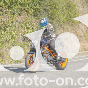 thumb_FF108813