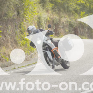 thumb_FF108816-1