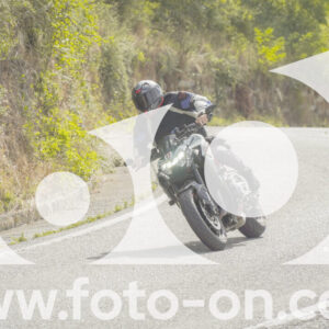 thumb_FF108817-1