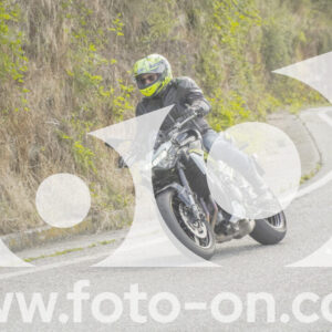 thumb_FF108819