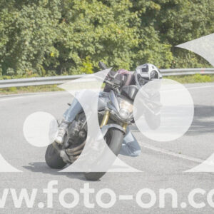 thumb_FF108833