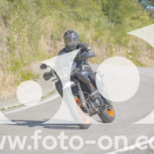 thumb_FF108904