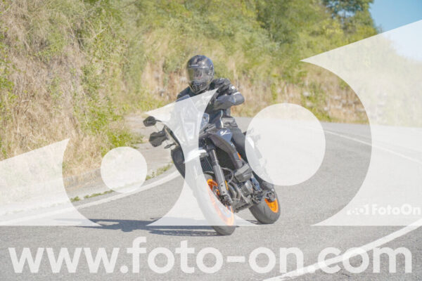 <h1 class="product-title">thumb_FF108904</h1>