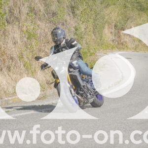 thumb_FF108914
