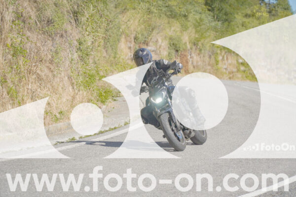 <h1 class="product-title">thumb_FF108916</h1>