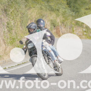 thumb_FF108940