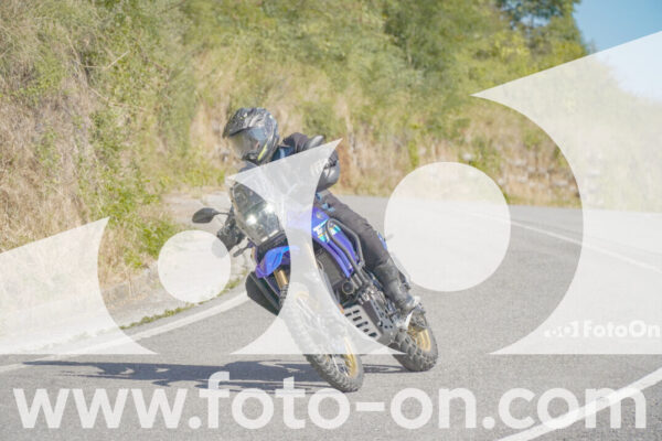 <h1 class="product-title">thumb_FF108978</h1>