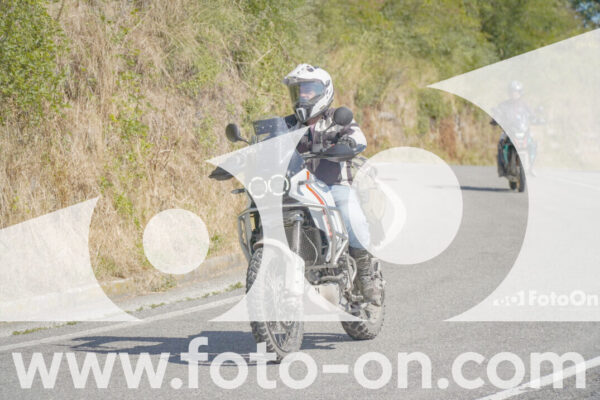 <h1 class="product-title">thumb_FF109007</h1>