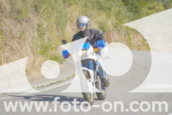<h1 class="product-title">thumb_FF109012</h1>