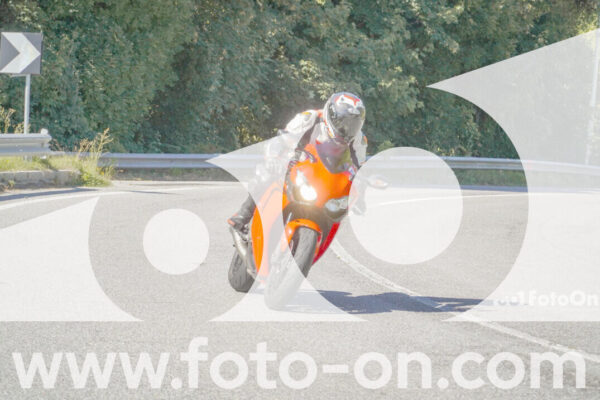 <h1 class="product-title">thumb_FF109019</h1>