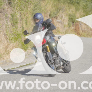 thumb_FF109077
