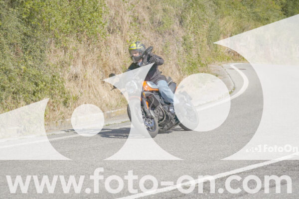 <h1 class="product-title">thumb_FF109139</h1>