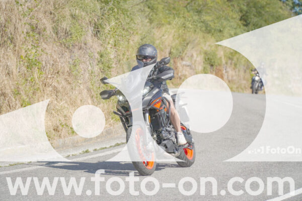 <h1 class="product-title">thumb_FF109202</h1>