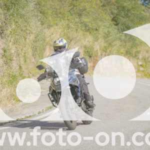 thumb_FF109296