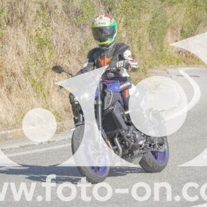 thumb_FF109305_1