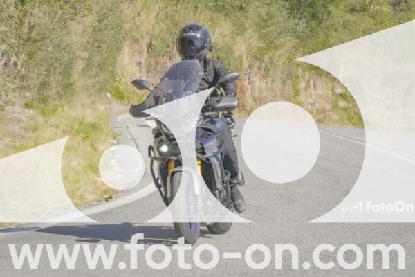 <h1 class="product-title">thumb_FF109322</h1>