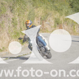 thumb_FF109338
