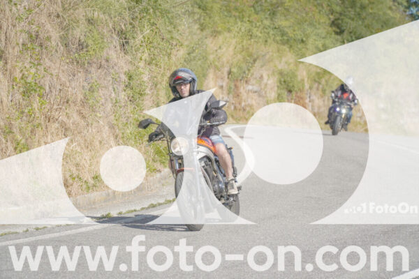 <h1 class="product-title">thumb_FF109358</h1>
