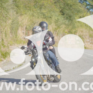 thumb_FF109359