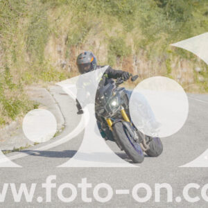 thumb_FF109372