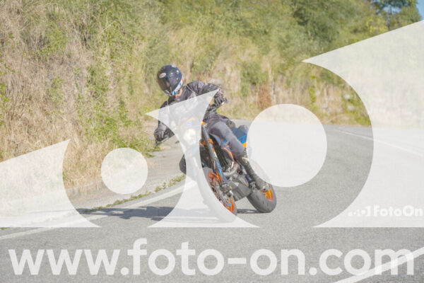 <h1 class="product-title">thumb_FF109374</h1>