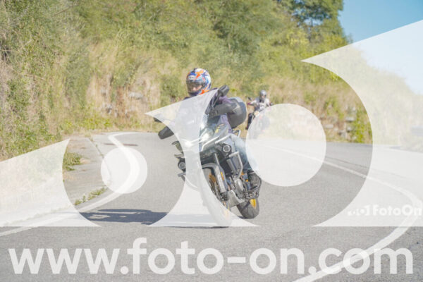 <h1 class="product-title">thumb_FF109386</h1>