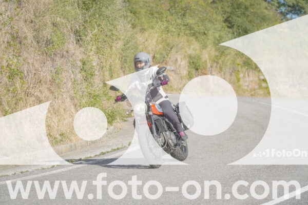 <h1 class="product-title">thumb_FF109387</h1>