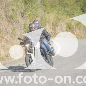 thumb_FF109390