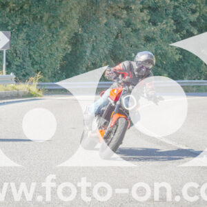 thumb_FF109404