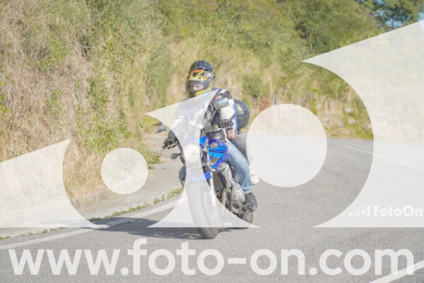 <h1 class="product-title">thumb_FF109413</h1>