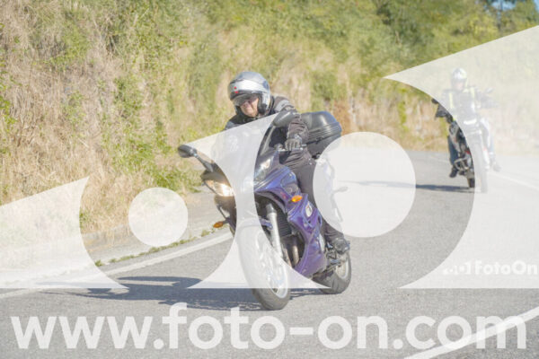 <h1 class="product-title">thumb_FF109422</h1>