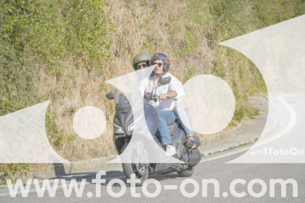 <h1 class="product-title">thumb_FF109433</h1>