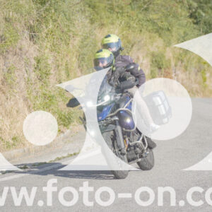 thumb_FF109447