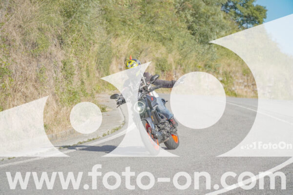 <h1 class="product-title">thumb_FF109454</h1>