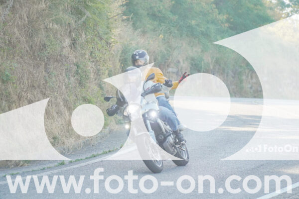 <h1 class="product-title">thumb_FF109467</h1>