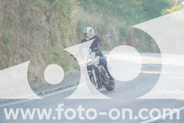 <h1 class="product-title">thumb_FF109469</h1>
