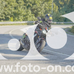 thumb_FF109550