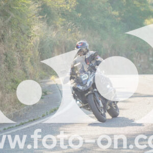 thumb_FF109556