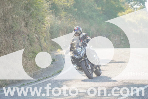 <h1 class="product-title">thumb_FF109556</h1>