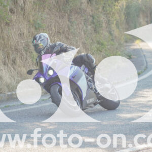 thumb_FF109572
