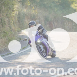 thumb_FF109584_1