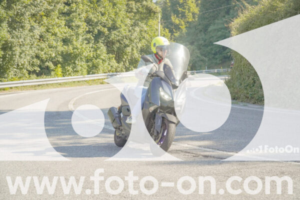 <h1 class="product-title">thumb_FF109594_1</h1>