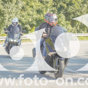 thumb_FF109602