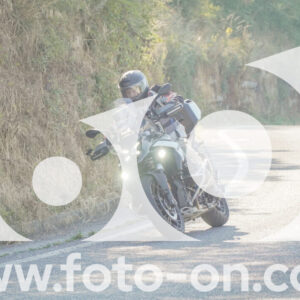 thumb_FF109604