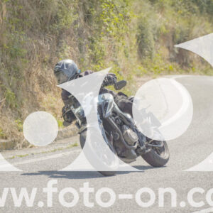 thumb_FF109663