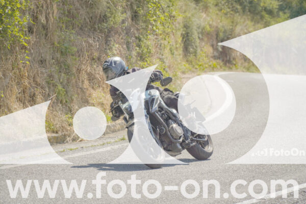 <h1 class="product-title">thumb_FF109663</h1>