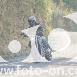 thumb_FF109670