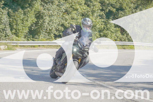 <h1 class="product-title">thumb_FF109678</h1>