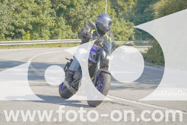 <h1 class="product-title">thumb_FF109683</h1>